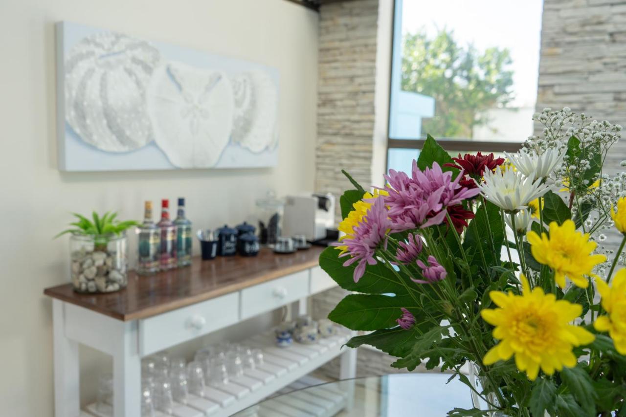 Blue Star Villa Tergniet المظهر الخارجي الصورة
